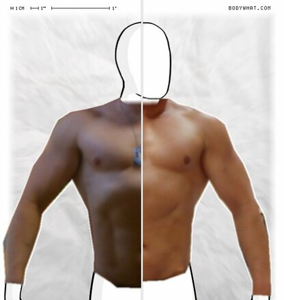 Torso Comparison