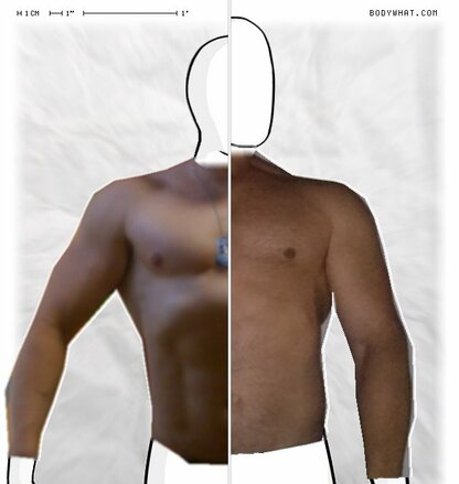 Torso Comparison