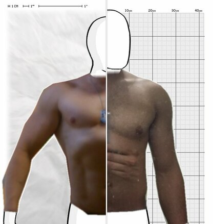 Torso Comparison