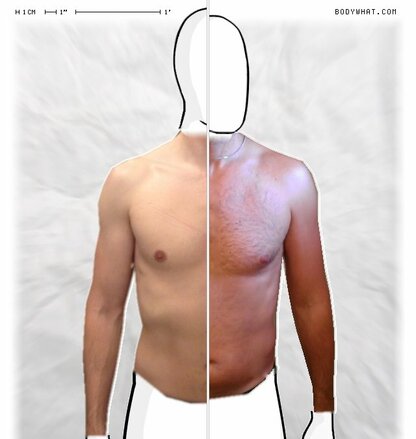 Torso Comparison