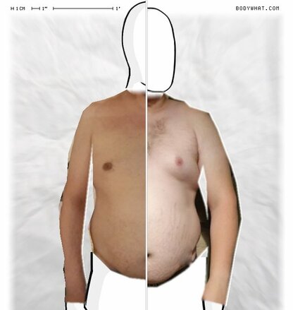 Torso Comparison