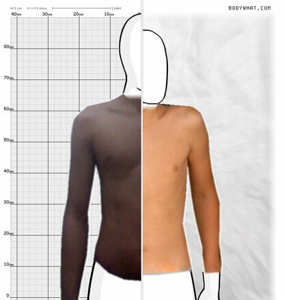 Torso Comparison