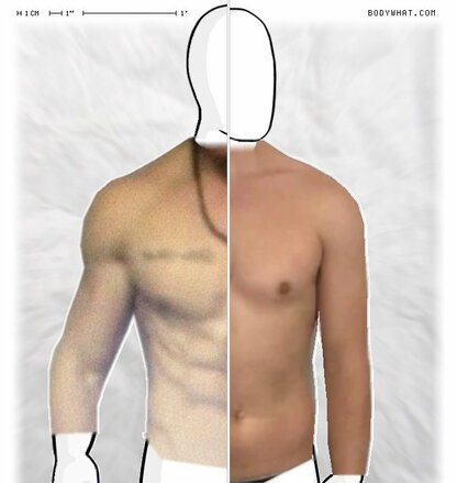 Torso Comparison