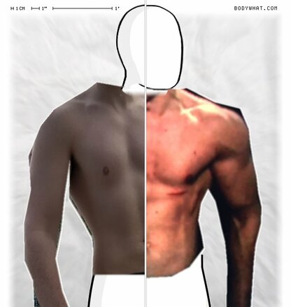 Torso Comparison