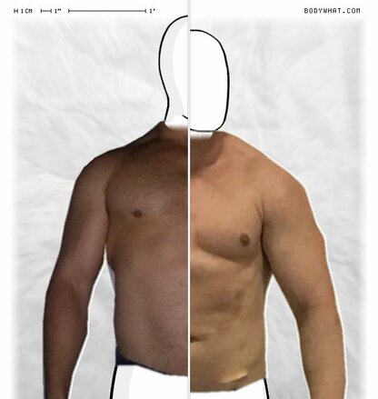 Torso Comparison