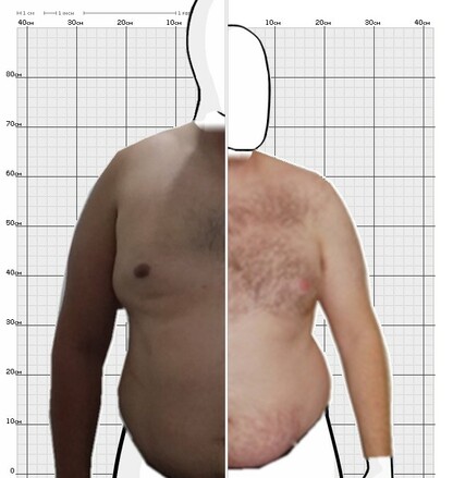 Torso Comparison