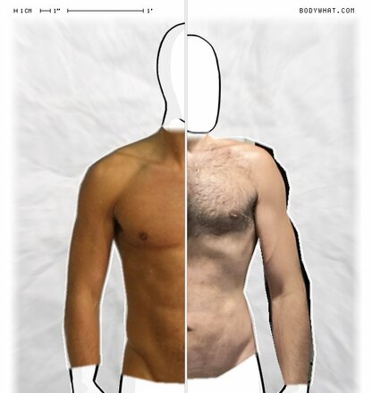 Torso Comparison