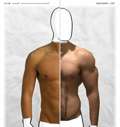 Torso Comparison