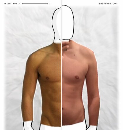 Torso Comparison