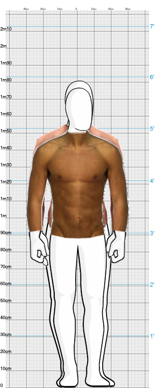 Full Size Comparison