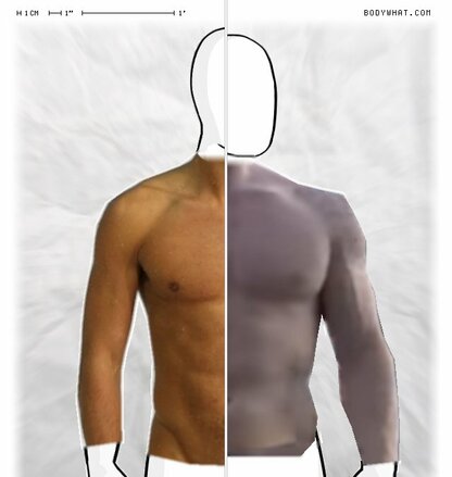 Torso Comparison