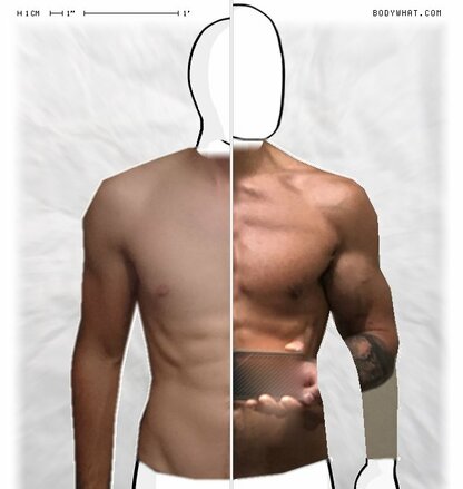 Torso Comparison