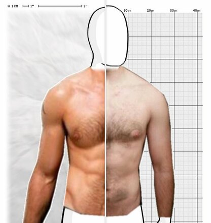 Torso Comparison