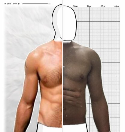 Torso Comparison