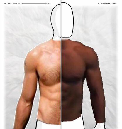 Torso Comparison