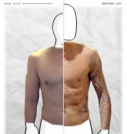 Torso Comparison