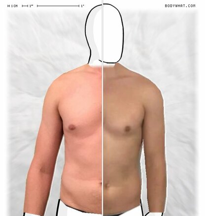 Torso Comparison