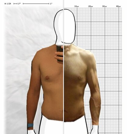 Torso Comparison