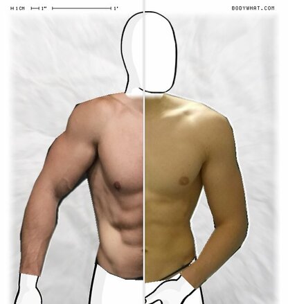 Torso Comparison