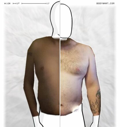 Torso Comparison