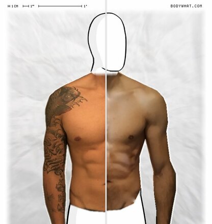 Torso Comparison