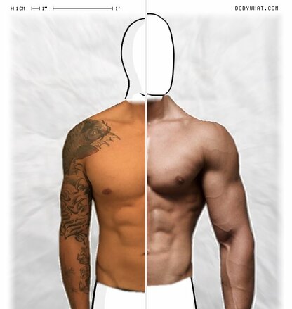 Torso Comparison