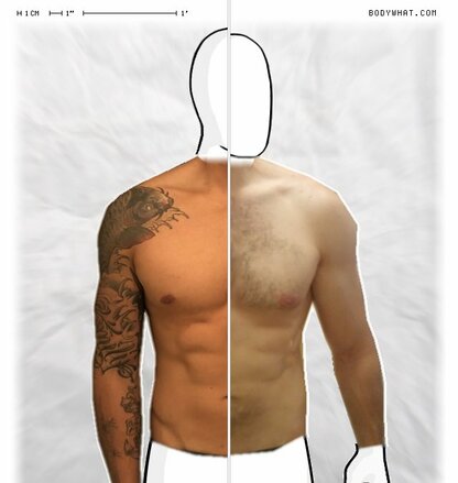 Torso Comparison