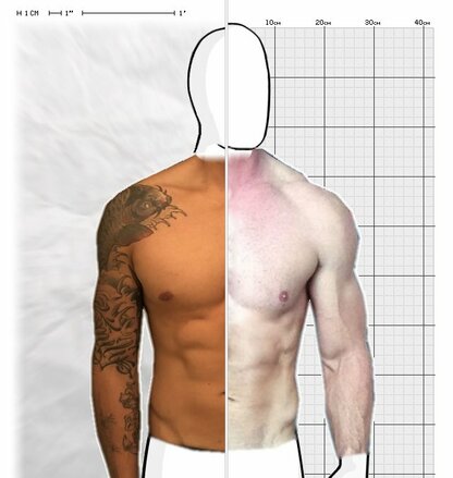 Torso Comparison