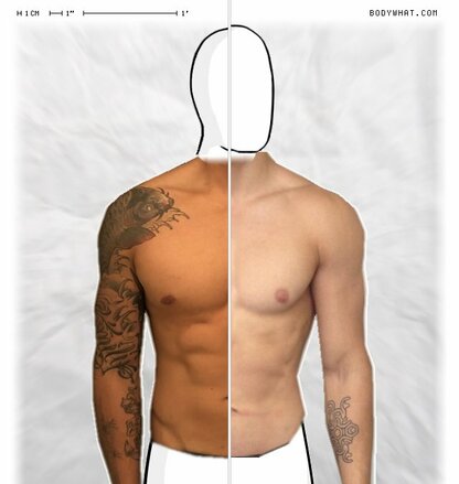 Torso Comparison