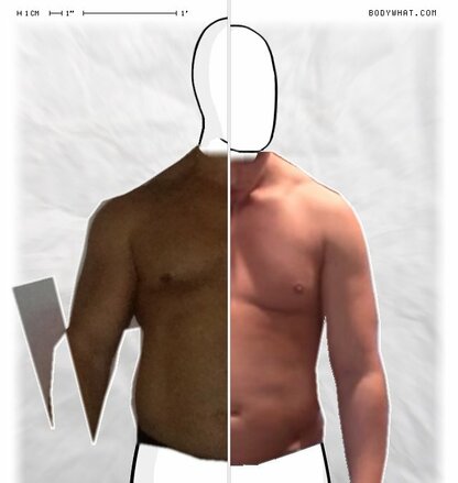 Torso Comparison