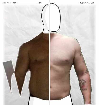 Torso Comparison