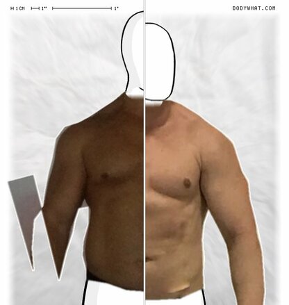 Torso Comparison