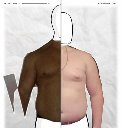 Torso Comparison