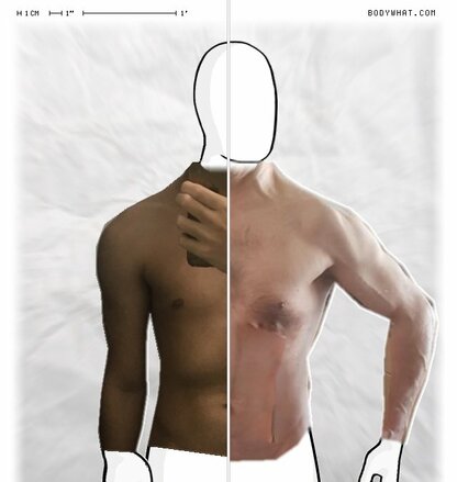 Torso Comparison