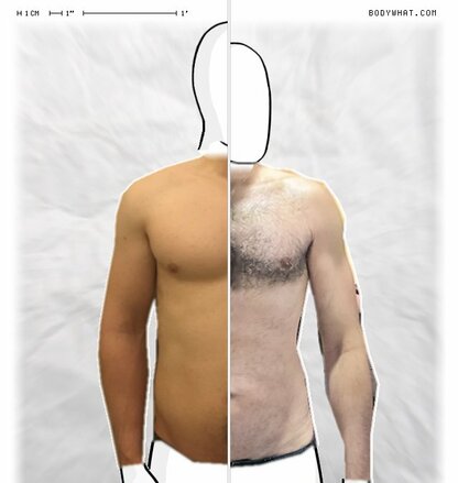 Torso Comparison