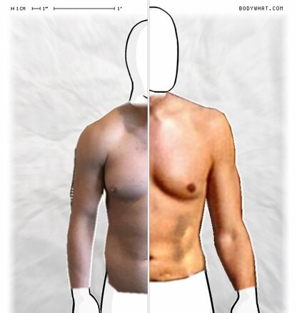 Torso Comparison