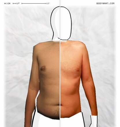 Torso Comparison