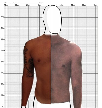 Torso Comparison