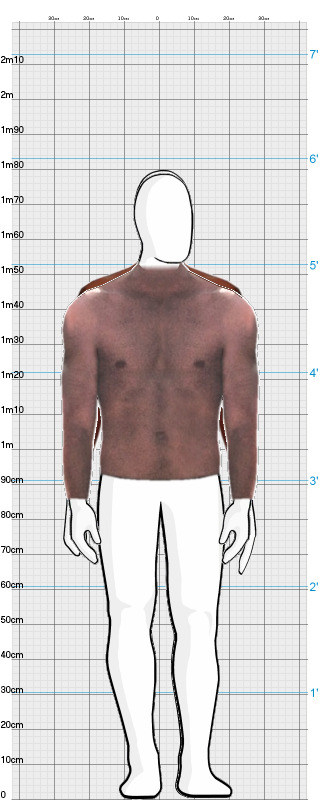 Full Size Comparison