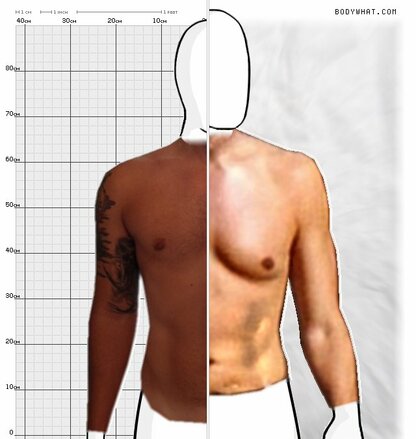 Torso Comparison