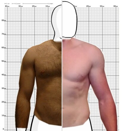 Torso Comparison