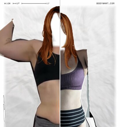Torso Comparison