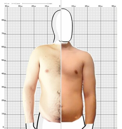 Torso Comparison