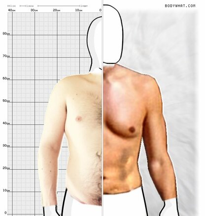 Torso Comparison