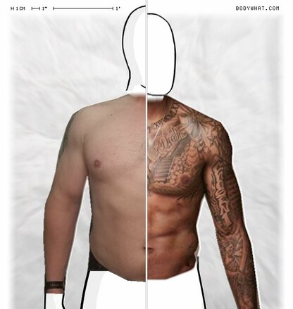 Torso Comparison