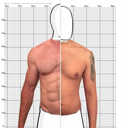 Torso Comparison