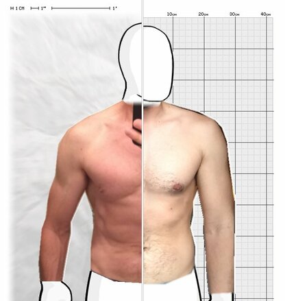 Torso Comparison