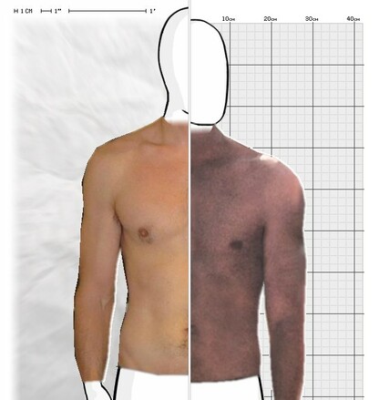 Torso Comparison