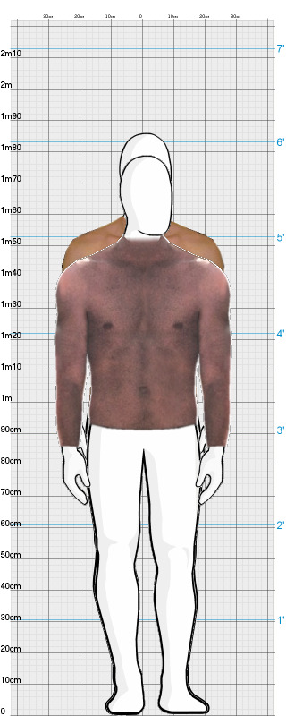 Full Size Comparison