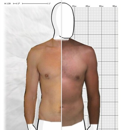 Torso Comparison